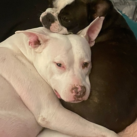 Meet your Posher, Niquette - Picture 11 of 12